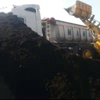 فروش کود حیوانی گاوی سوخته ۳ سال خشک|خدمات باغبانی و درختکاری|گلبهار, شهر جدید گلبهار|دیوار