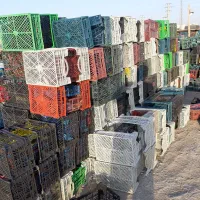 سبد زنده اسیابی|ظروف نگهدارنده، پلاستیکی، یک‌بارمصرف|اسلام‌شهر, مطهری|دیوار