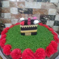 انواع سبزه طبیعی ومصنوعی|خدمات پذیرایی، مراسم|بروجرد, |دیوار