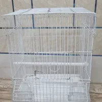 قفس پرنده