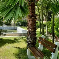 تهاتر یا فروش ویلا پارک با ملک مسکونی در کرج