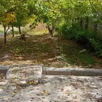 ویلا فیرورق خوی