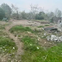 زمین مسکونی ۳۰۰ متری( زیباکنار/ولی اباد)/شخصی