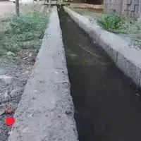 اجاره باغ وسوییت|اجارهٔ کوتاه‌مدت ویلا و باغ|بیستون, |دیوار