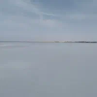 09173444495