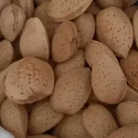 بادام درختی