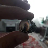 انگشتر  قلم|جواهرات|ساری, |دیوار