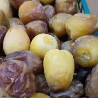 رطب برحی آبادان