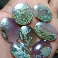 مجموعه ۷عددی  شجر شکوفه فردوس|جواهرات|آیسک, |دیوار