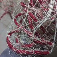 تور ماهیگیری نوع|ماهیگیری|رودسر, |دیوار