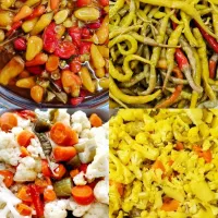 محصولات شمال