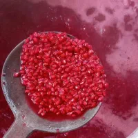 رب انار ملس