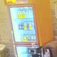 یخچال ایستاده و تلوزیون