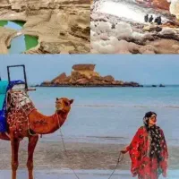 تور گردشگری و سیاحتی