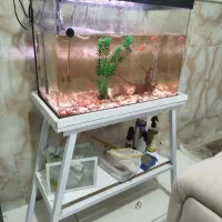 اکواریوم دلسا k580 شیشه خم شرکتی