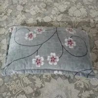 دوعدد بالش با روکش مخمل خارجی