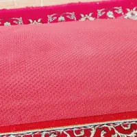 پشتی|پشتی|قم, آذر (نکویی)|دیوار