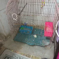 قفس بزرگ‌