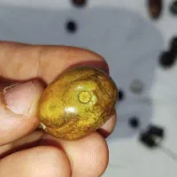 مهره