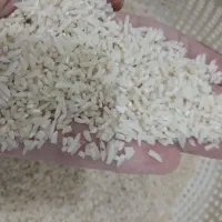 برنج میانباری دم سیاه