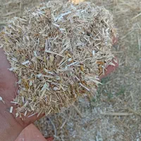 کاه کوبیده خالص درجه یک قیمت ۱۶۰۰۰هزار