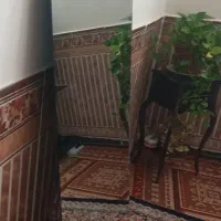 اینه۱ونیم در ۷۵ ۵۰۰هزار