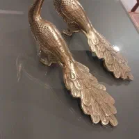 مجسمه برنجی طاووس|مجسمه، تندیس، ماکت|پاکدشت, پاکدشت (مامازند)|دیوار