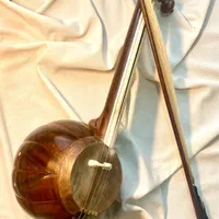 کمانچه حرفه ای امیر عطایی