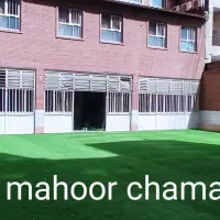 عرضه انواع چمن مصنوعی تزیینی ورزشی،قرچک ورامین|خدمات باغبانی و درختکاری|قرچک, مهدیه|دیوار