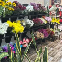 تزیین کار در گلفروشی