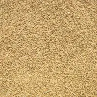 خرید گندم41تا 42نقدی