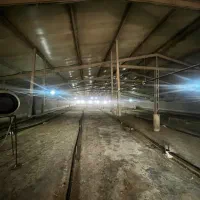 فرصت عالی سرمایه‌گذاری در صنعت مرغداری نزدیک گنبد