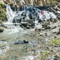 تور مشهدیا طبیعت|تور و چارتر|مشهد, آپارتمان های مرتفع|دیوار