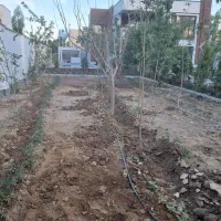 خدمات باغبانی|خدمات باغبانی و درختکاری|محمدشهر, محمدشهر|دیوار