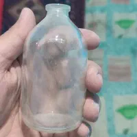 گلدان|گل و گیاه طبیعی|بم, |دیوار