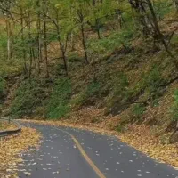 طبیعت گردی .