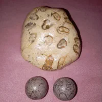 سنگ فسیل ماهی و سنگ آسیاب