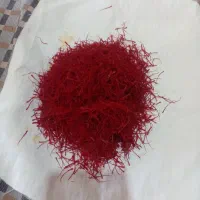 زعفران تازه و اصلی و اطمینانی