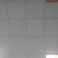 شریک و سرمایه گذار در کار تولید