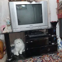 تلویزیون ۲۱ اینچ