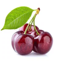 مزایده فروش گیلاس