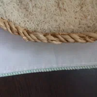 فروش کیسه متقال ۱۰ کیلویی|خدمات پیشه و مهارت|زرگرشهر, |دیوار