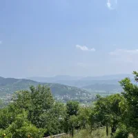 2500-متر-زمین-باغ-میوه-در-بابلکنار