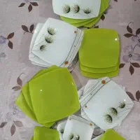 ظروف پذیرایی