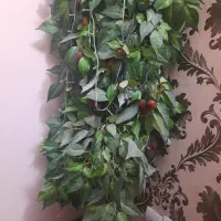 درختچه البالو|گل مصنوعی|تهران, تهرانپارس شرقی|دیوار