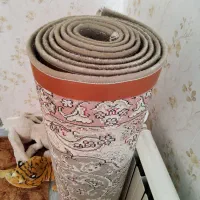 فرش ۶ متری دست دوم کارکرده جنس خوب و فرش حاشیه|فرش|تهران, سردارجنگل|دیوار