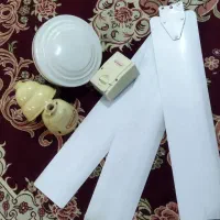 پنکه سقفی sanny