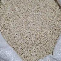برنج چمپا