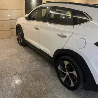 توسان۱۷ فول خلیج تک برگ درجه یک
