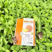 گلخونه تولید نشا/ملون جانا گوجه بامیه هندوانه/